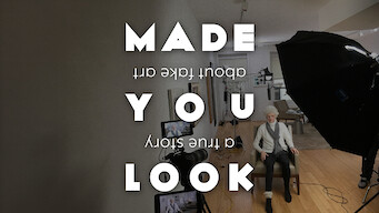 Made You Look: A True Story About Fake Art